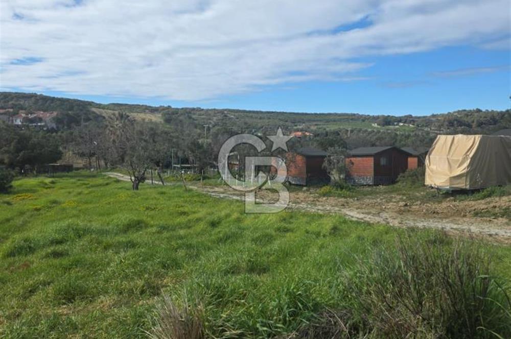 ÇANAKKALE BOZCAADA SULUBAHÇE KOYUNA YAKIN SATILIK TARLA