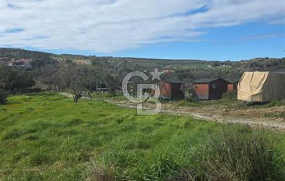 ÇANAKKALE BOZCAADA SULUBAHÇE KOYUNA YAKIN SATILIK TARLA