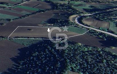 !! Sinopta Yola Cepheli 15.484 m² Satılık Tarla !!