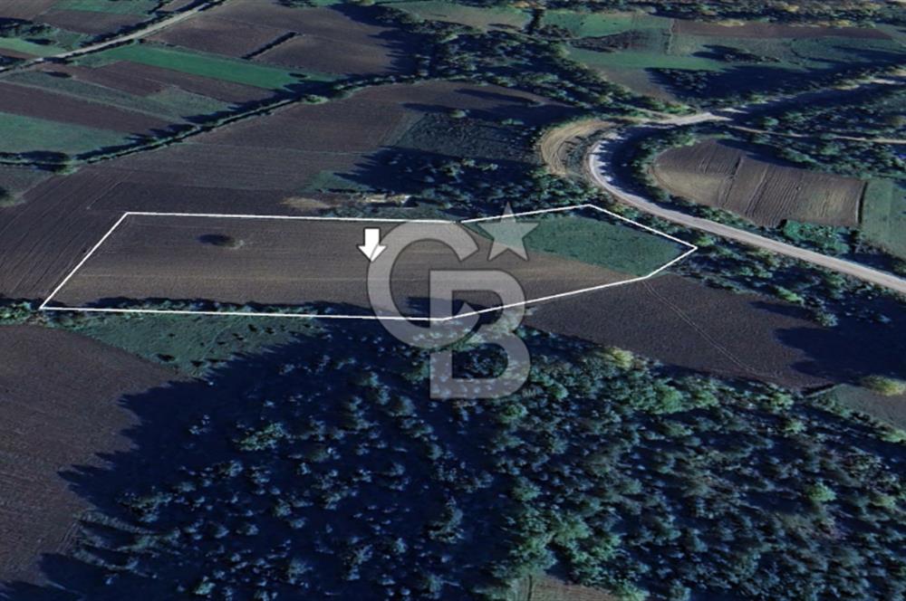 !! Sinopta Yola Cepheli 15.484 m² Satılık Tarla !!