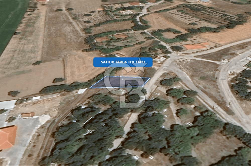 Foça Ilıpınar'da Satılık Müstakil Tapulu Tarla