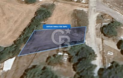 Foça Ilıpınar'da Satılık Müstakil Tapulu Tarla