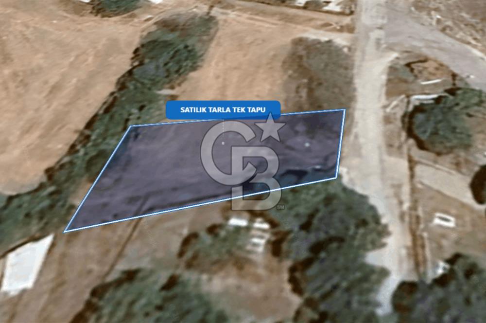 Foça Ilıpınar'da Satılık Müstakil Tapulu Tarla