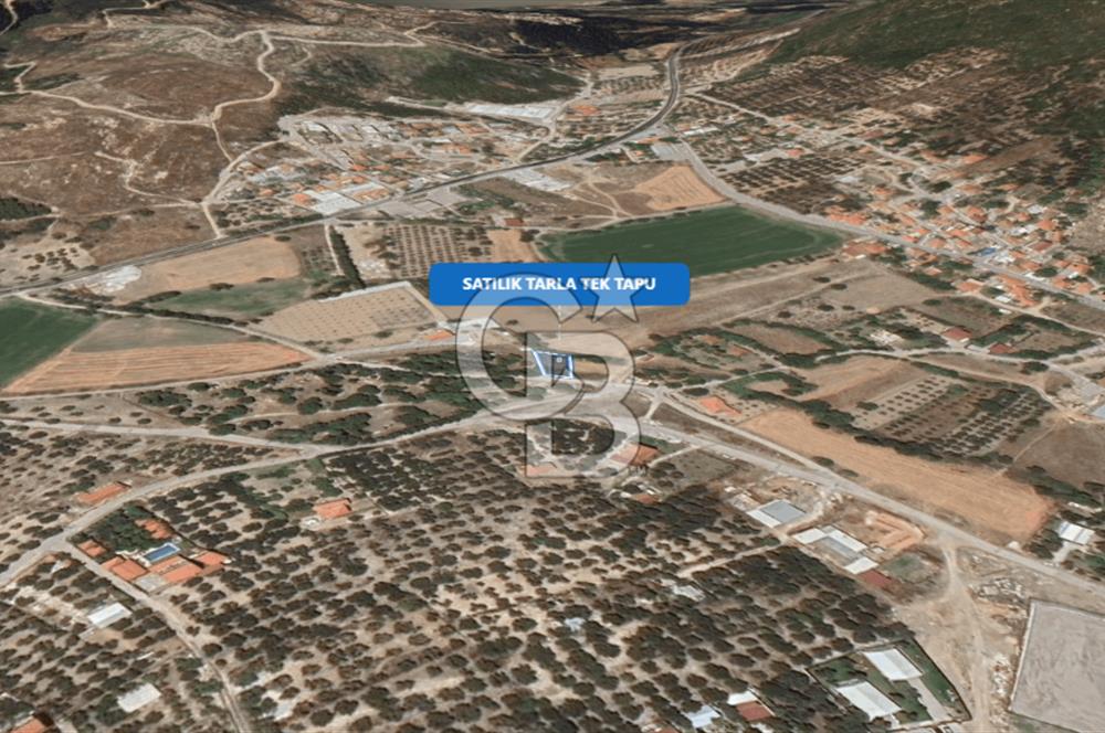 Foça Ilıpınar'da Satılık Müstakil Tapulu Tarla