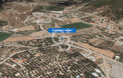 Foça Ilıpınar'da Satılık Müstakil Tapulu Tarla