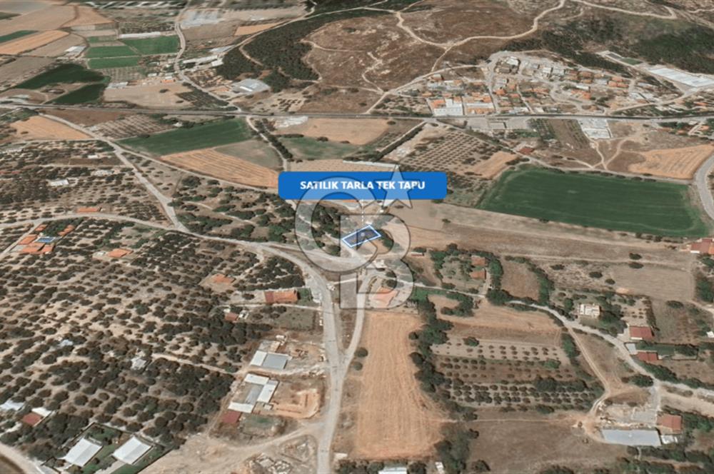 Foça Ilıpınar'da Satılık Müstakil Tapulu Tarla