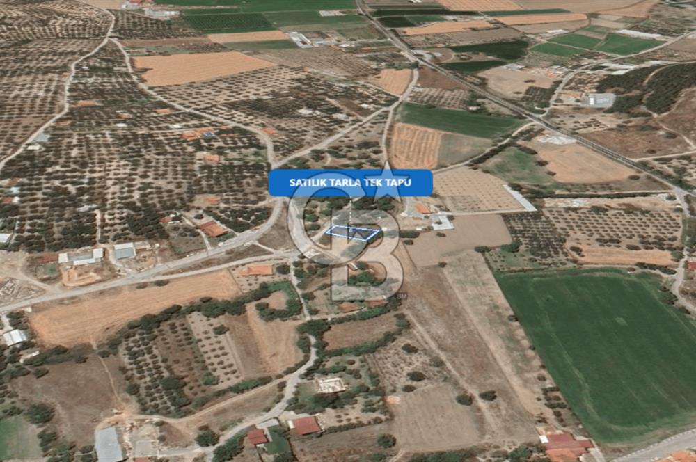 Foça Ilıpınar'da Satılık Müstakil Tapulu Tarla