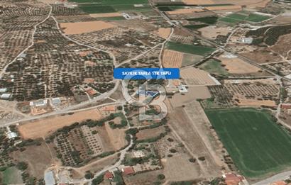 Foça Ilıpınar'da Satılık Müstakil Tapulu Tarla