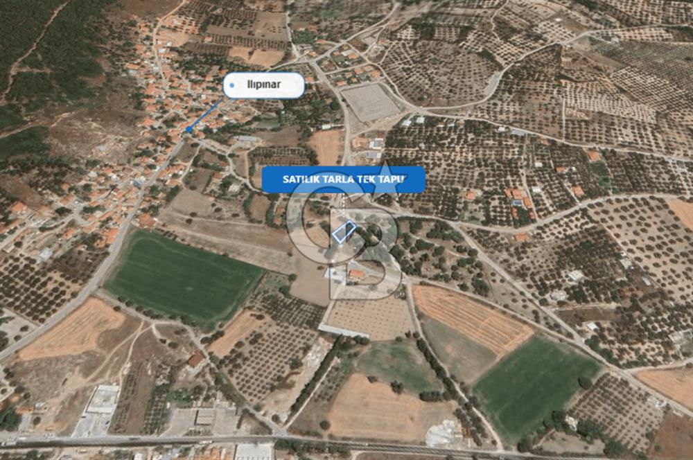 Foça Ilıpınar'da Satılık Müstakil Tapulu Tarla