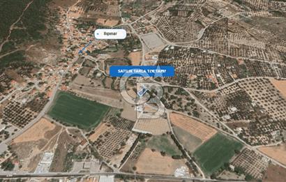 Foça Ilıpınar'da Satılık Müstakil Tapulu Tarla