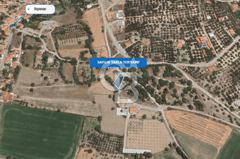 Foça Ilıpınar'da Satılık Müstakil Tapulu Tarla