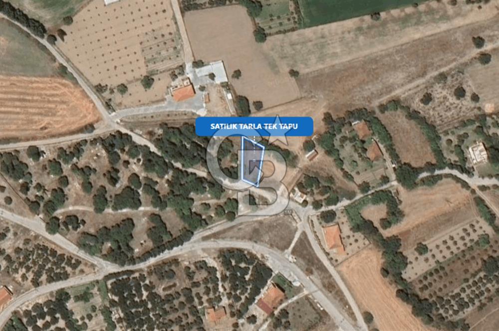 Foça Ilıpınar'da Satılık Müstakil Tapulu Tarla