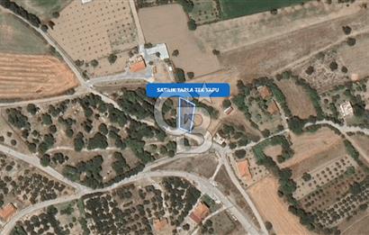 Foça Ilıpınar'da Satılık Müstakil Tapulu Tarla