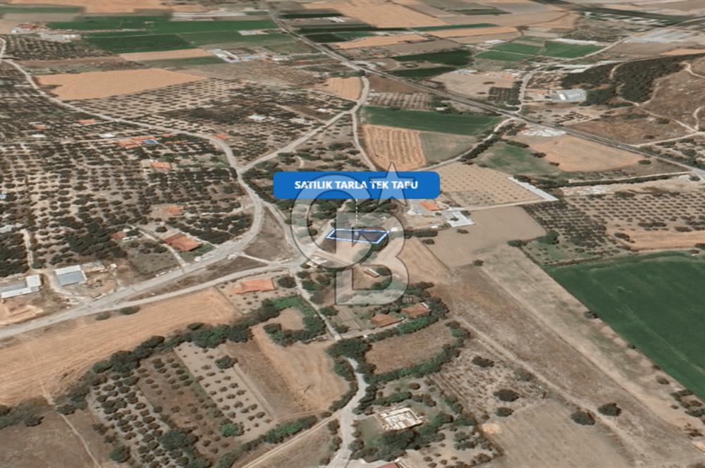 Foça Ilıpınar'da Satılık Müstakil Tapulu Tarla