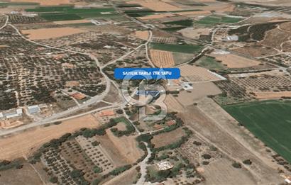 Foça Ilıpınar'da Satılık Müstakil Tapulu Tarla