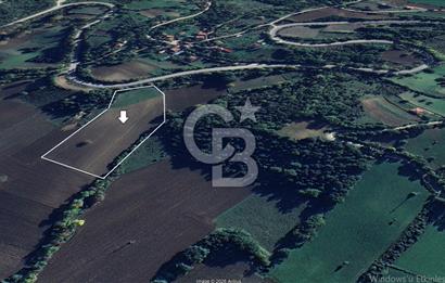 !! Sinopta Yola Cepheli 15.484 m² Satılık Tarla !!