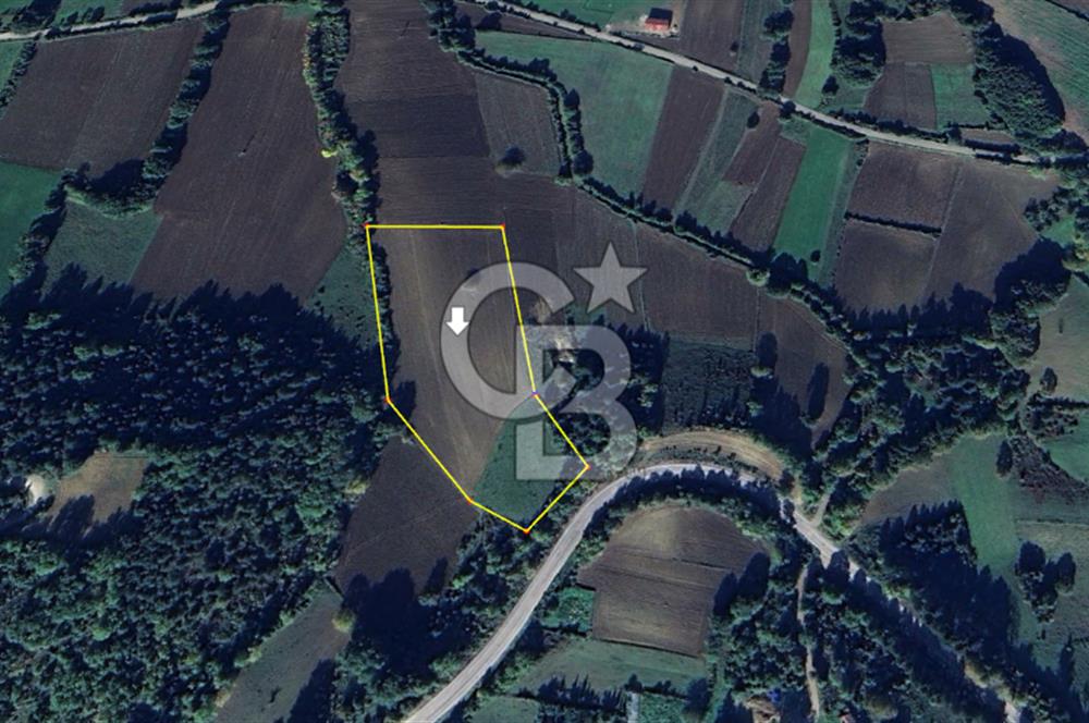 !! Sinopta Yola Cepheli 15.484 m² Satılık Tarla !!