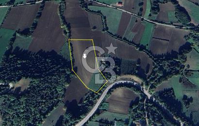 !! Sinopta Yola Cepheli 15.484 m² Satılık Tarla !!