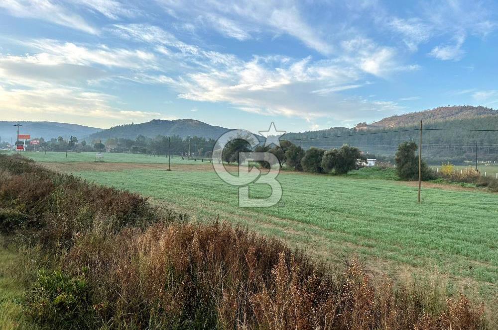 Arvalya'da Kuşadası Yoluna Cephe 5367m² Satılık Tarla