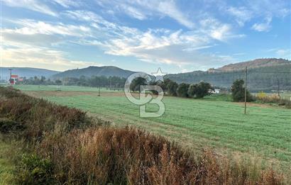 Arvalya'da Kuşadası Yoluna Cephe 5367m² Satılık Tarla