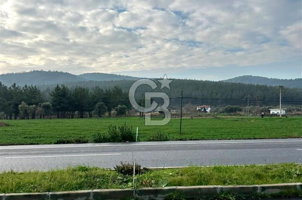 Arvalya'da Kuşadası Yoluna Cephe 5367m² Satılık Tarla