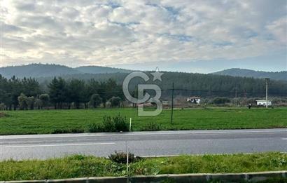 Arvalya'da Kuşadası Yoluna Cephe 5367m² Satılık Tarla