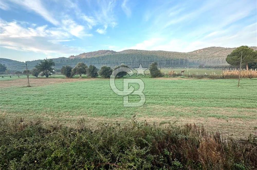 Arvalya'da Kuşadası Yoluna Cephe 5367m² Satılık Tarla