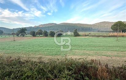 Arvalya'da Kuşadası Yoluna Cephe 5367m² Satılık Tarla