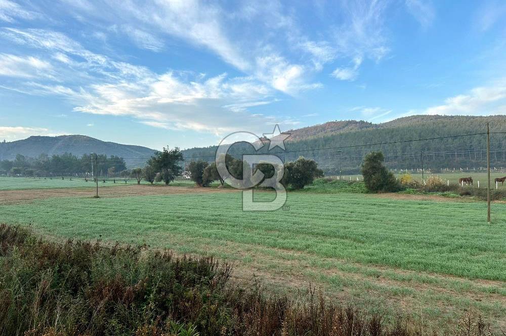 Arvalya'da Kuşadası Yoluna Cephe 5367m² Satılık Tarla