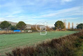 Arvalya'da Kuşadası Yoluna Cephe 5367m² Satılık Tarla - 2 - 341761