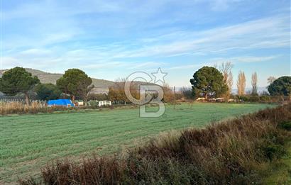 Arvalya'da Kuşadası Yoluna Cephe 5367m² Satılık Tarla