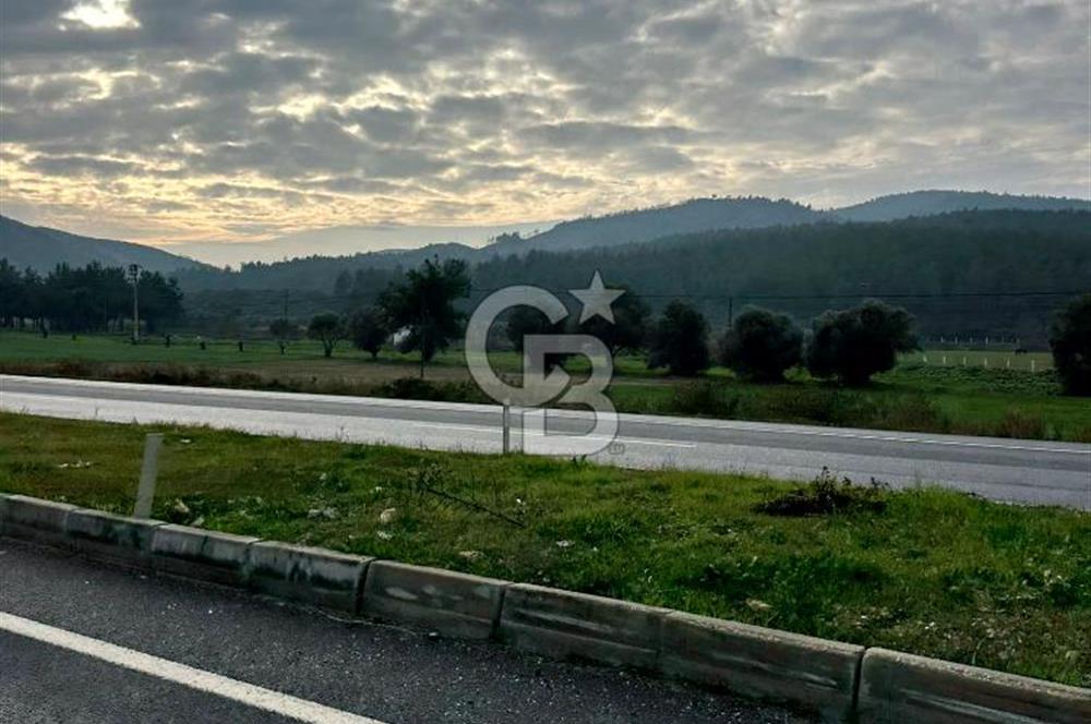 Arvalya'da Kuşadası Yoluna Cephe 5367m² Satılık Tarla