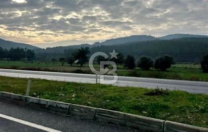 Arvalya'da Kuşadası Yoluna Cephe 5367m² Satılık Tarla