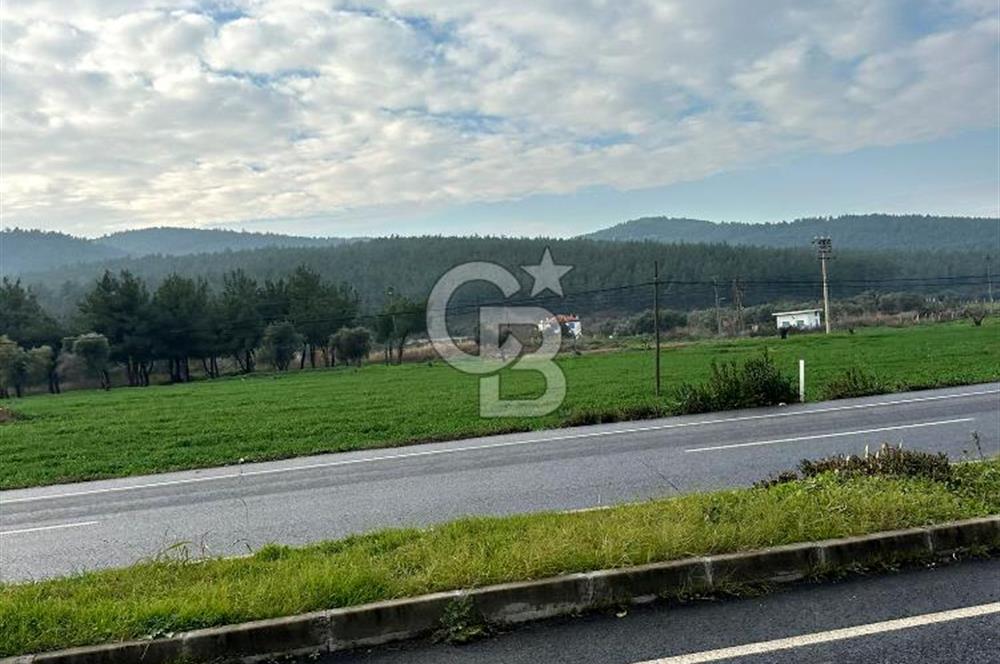 Arvalya'da Kuşadası Yoluna Cephe 5367m² Satılık Tarla