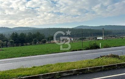 Arvalya'da Kuşadası Yoluna Cephe 5367m² Satılık Tarla