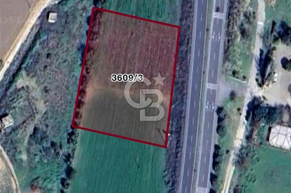 Arvalya'da Kuşadası Yoluna Cephe 5367m² Satılık Tarla