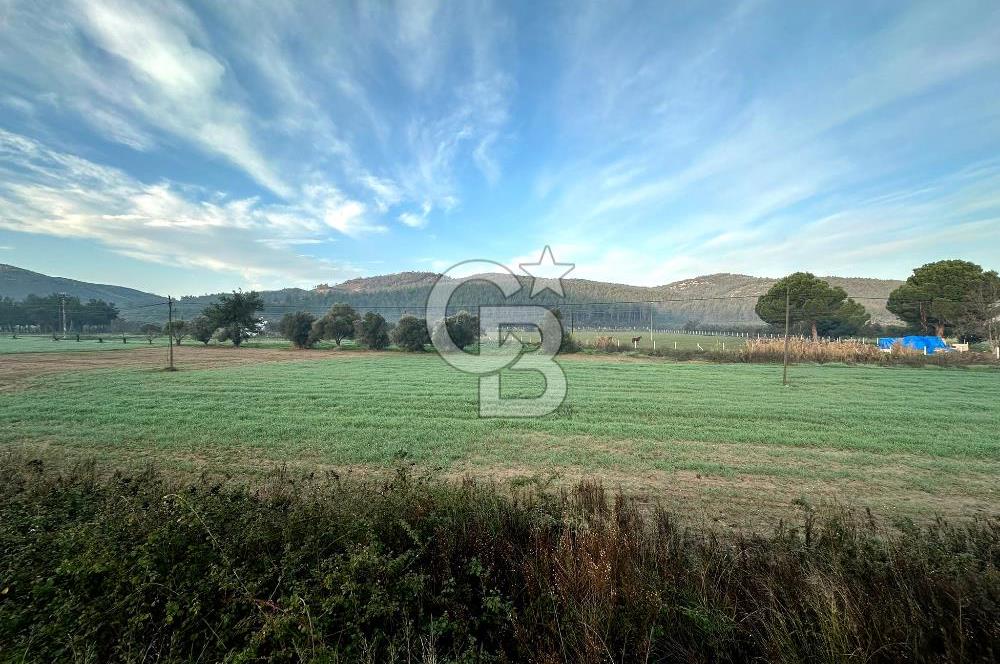 Arvalya'da Kuşadası Yoluna Cephe 5367m² Satılık Tarla