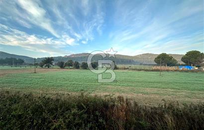 Arvalya'da Kuşadası Yoluna Cephe 5367m² Satılık Tarla