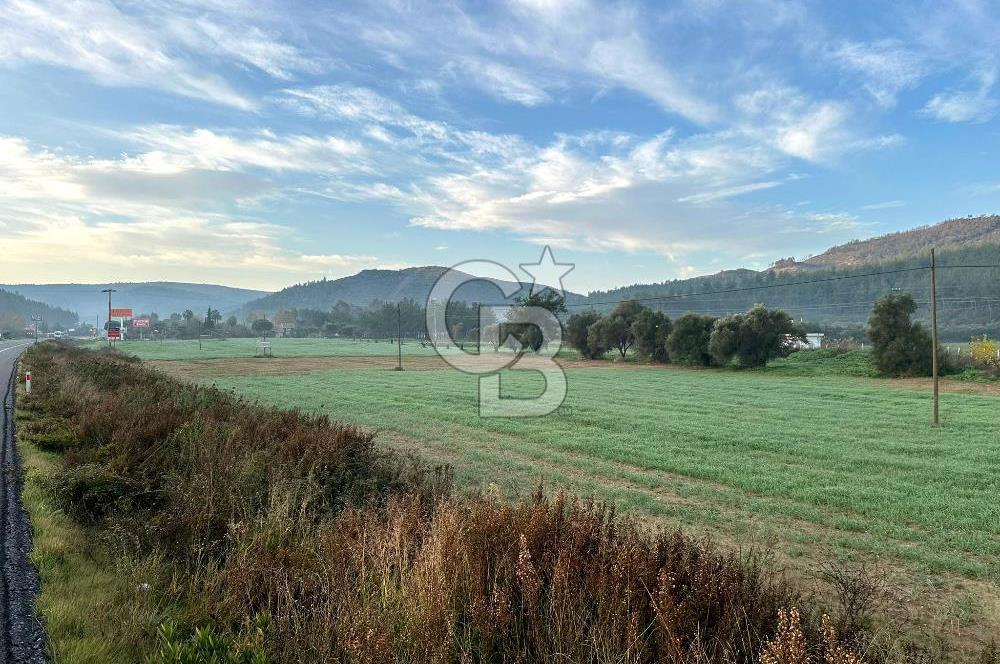 Arvalya'da Kuşadası Yoluna Cephe 5367m² Satılık Tarla