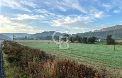 Arvalya'da Kuşadası Yoluna Cephe 5367m² Satılık Tarla