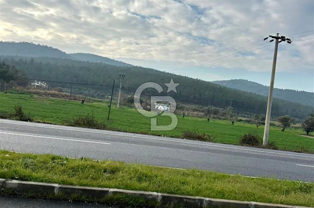 Arvalya'da Kuşadası Yoluna Cephe 5367m² Satılık Tarla