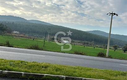 Arvalya'da Kuşadası Yoluna Cephe 5367m² Satılık Tarla