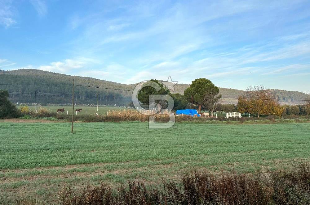 Arvalya'da Kuşadası Yoluna Cephe 5367m² Satılık Tarla