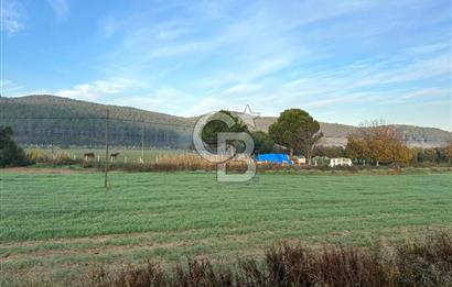 Arvalya'da Kuşadası Yoluna Cephe 5367m² Satılık Tarla