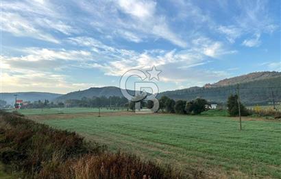 Arvalya'da Kuşadası Yoluna Cephe 5367m² Satılık Tarla