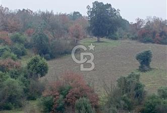 BALIKESİR DURSUNBEY'DE 103 DÖNÜM ARAZİ - 3 - 341890