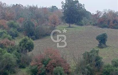 BALIKESİR DURSUNBEY'DE 103 DÖNÜM ARAZİ