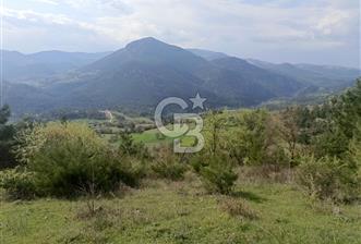 MANİSA'DA 39.300 m2  YATIRIMLIK ARAZİ - 7 - 341882