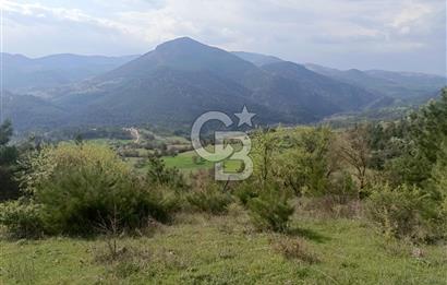 MANİSA'DA 39.300 m2  YATIRIMLIK ARAZİ