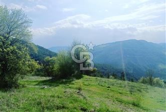 BALIKESİR DURSUNBEY'DE 63 DÖNÜM ARAZİ - 2 - 341891